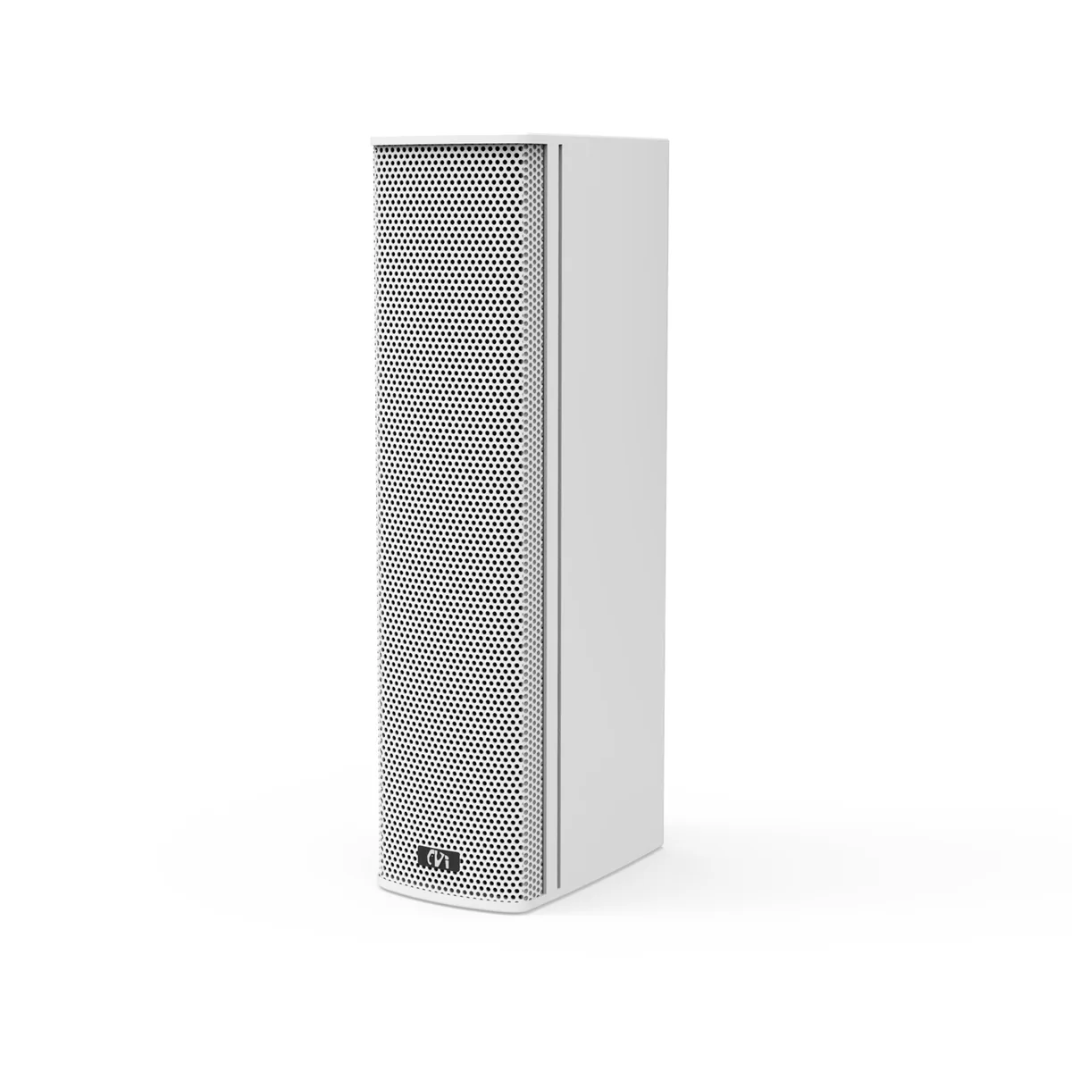 网络4G专业扩声音柱
（铝壳80W）