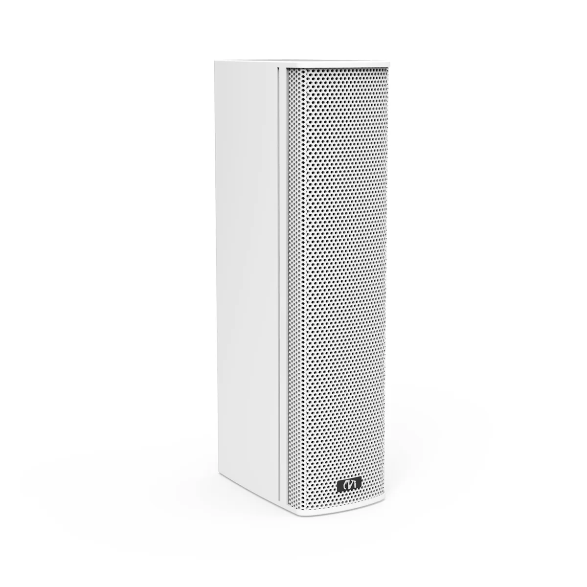 专业扩声音柱（100W）